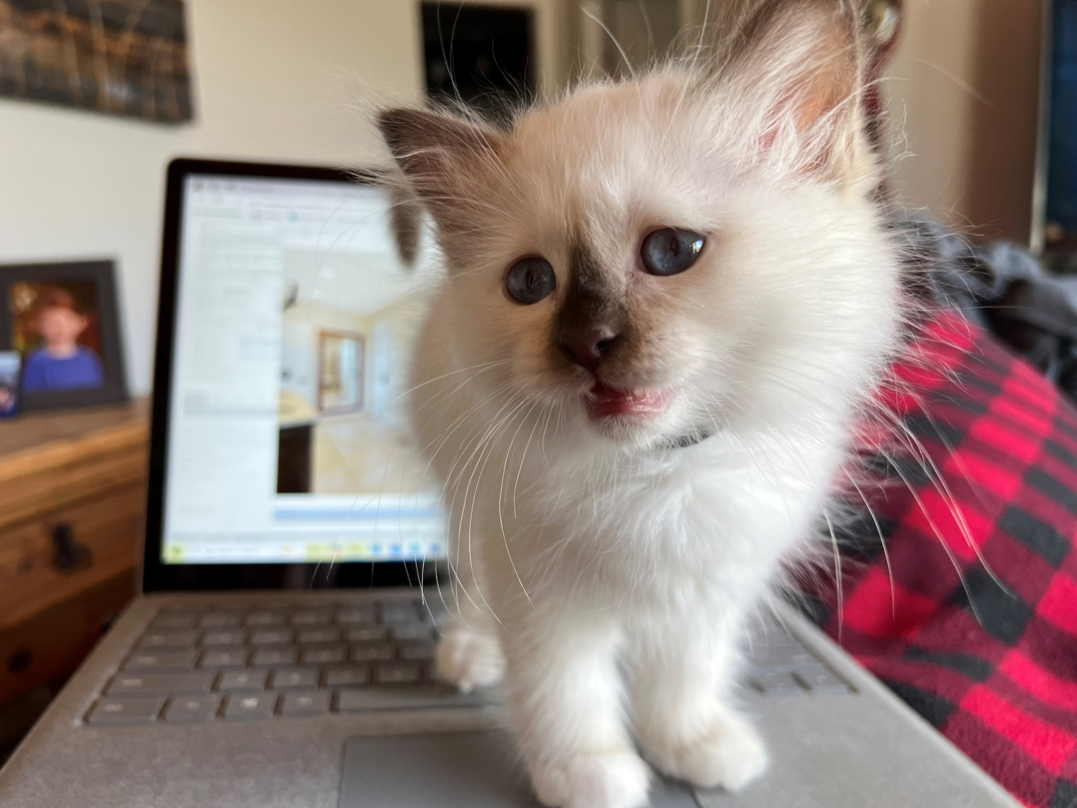 🎉 Happy Friday! 🎉